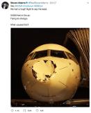 Bone-chilling photos of airplane showing the aftereffect of mid-air collision with bird
