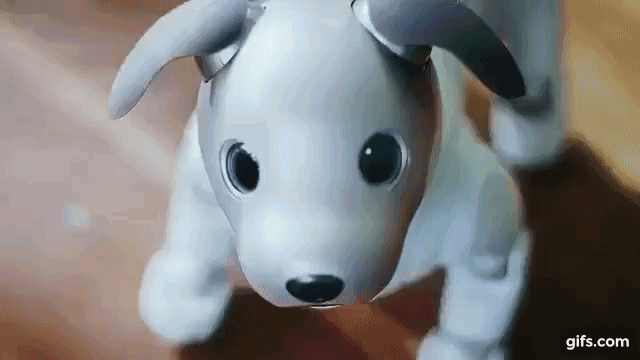 Sony revives Aibo, robot dog featuring AI
