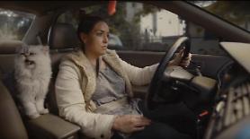 A mans used car commercial for his girlfriends 96 Honda went viral and EBay bids went over $50,000
