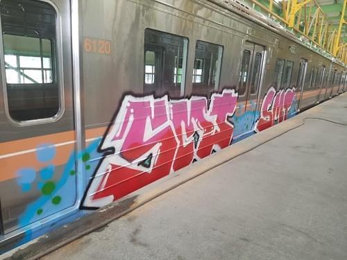 Two British graffiti  gang members jailed for vandalizing S. Korean subway train