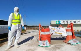 Bird flu triggers temporary ban on nationwide poultry movement