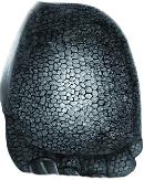 Distinct preservation of skin impressions in dinosaur footprint found in S. Korea 