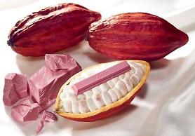  Nestle unveils natural pink "Ruby" chocolate: Yonhap