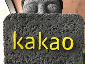  Kakaos AI to replace 30% of call-in help desk