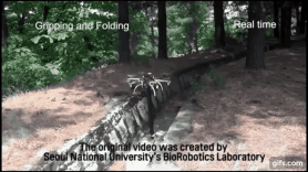 S. Korean researchers develop stretchable robotic arm for drone