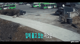 Master skilled thief dog shocks police in security cam footage