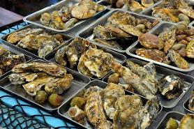 ​Maritime ministry bans shellfish harvesting due to spread of paralytic toxins