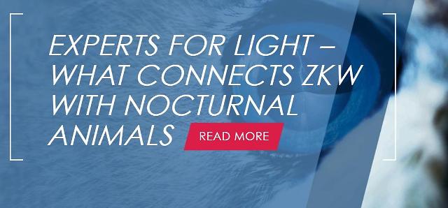 LG acquires Austrias premium headlamp maker ZKW