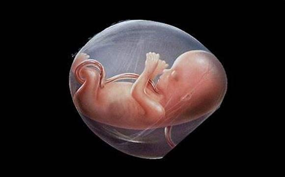 胎儿生命权VS孕妇选择权 韩国重新审视堕胎是否违法