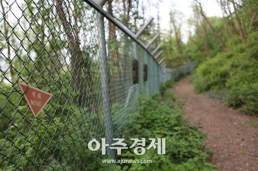 [기수정의 여행 in]초여름 정취 만끽하며 천천히 걷기