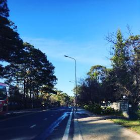 무더운 나라 베트남.. 여름에도 쾌적하고 선선한 달랏 여행 