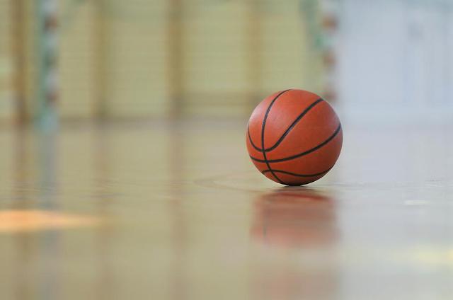 Koreas hold talks on reactivating sports exchanges and basketball matches