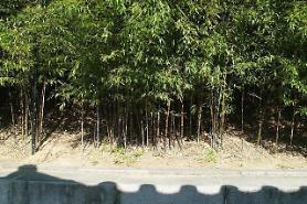 ​[Du lịch] Một vài điểm tham quan làm cho du khách Việt thêm yêu mến đất nước Hàn Quốc