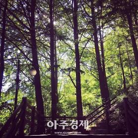 [Văn hóa] Phong cách sống Hygge (휘게) tại Hàn Quốc