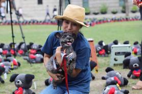 Moons First Dog leads campaign against dog meat consumption