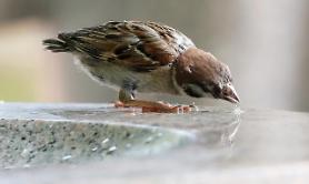 Biến đổi khí hậu đang ngày càng gây ra nhiều tác động lớn đến cuộc sống chúng ta