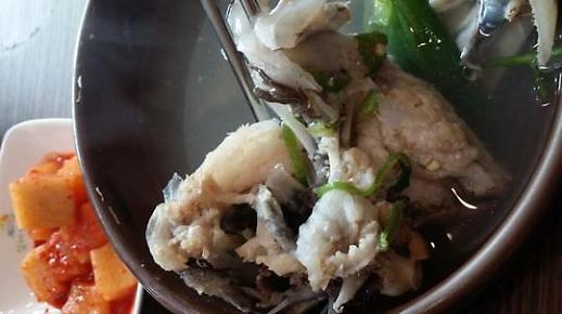 [영상카드]빈섬의 도시전설-볼테기탕 주인님은 이렇게 말씀하셨다