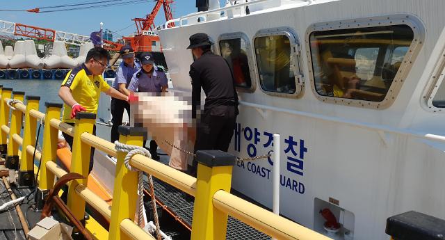 “济州失踪女性”尸体在加波岛被发现 警方：不排除他杀可能
