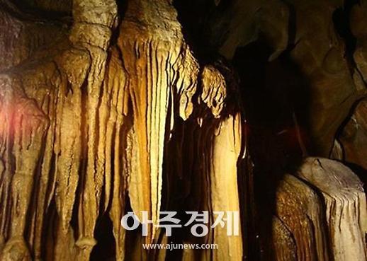 [기수정의 여행 in]푹푹 찌는 무더위...나, 굴캉스 갈래!