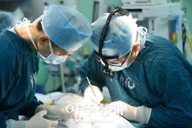 Seoul Smile Team Nụ cười Seoul lan tỏa tại Việt Nam