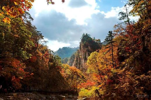 화려함 옷 입은 설악산의 가을에 마음을 뺏겼네