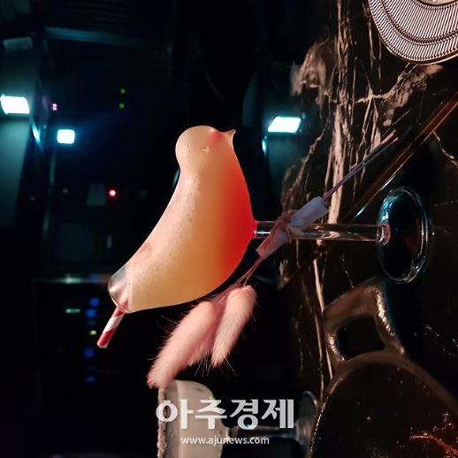 [영상트립]요즘 대세 차이니즈 바…글래드 라이브 강남 리마장 