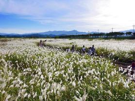 Mùa thu ở Hàn Quốc và những điểm đến lý tưởng