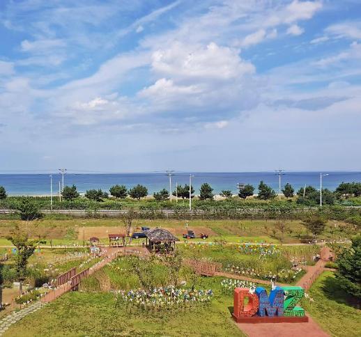 [영상트립]아픔의 역사, 희망이 되다…DMZ박물관