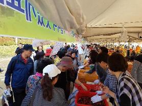 Lễ hội táo đỏ Boeun