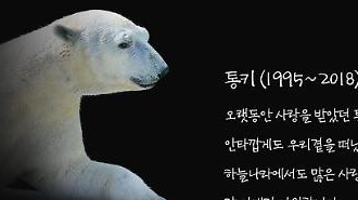 7Ya17YKkIOydtOyghOyXlCDrgqjqt7nsnbTqsIDigKbrjZTsnITCt+yZuOuhnOybgOqzvCDsi7jsmrDrjZgg6rWt64K0IOu2geq3ueqzsOydmCAn7IOI65OcIOyXlOuUqSc=