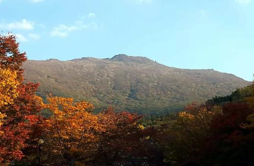 [광화문갤러리] 한 눈에 모아보는 방방곡곡 단풍 절경  