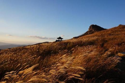 해인사만 볼건가요…합천의 오색 가을