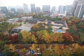 Hình ảnh mùa thu Hàn Quốc