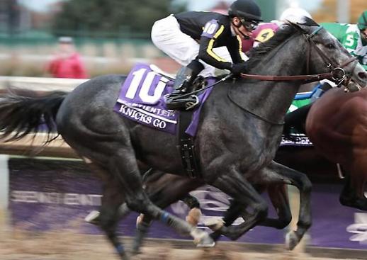 [영상]미국이 놀란 한국馬님...나는 경마계의 손흥민, ‘닉스고’올시다