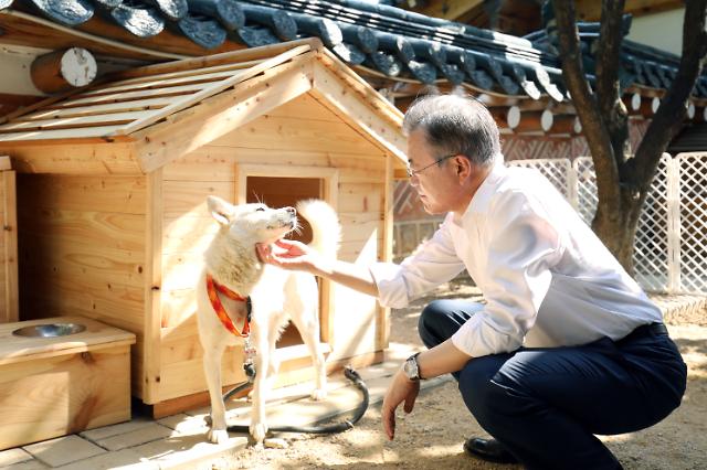 President Moon happy with six puppies from dog sent by N. Korean leader