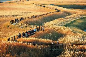 Tiết kiệm chi phí du lịch bằng cách sử dụng thẻ ưu đãi Namdopass khi đến Kwangju-Jeonnam 