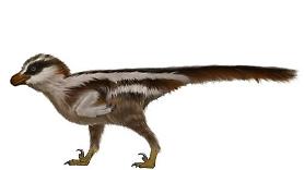 Researchers find worlds smallest microraptor footprint fossil in S. Korea