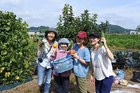 [NNA] 日 JAL 등 3사, 홍콩에서 일본 농가민박 상품 판매 나서