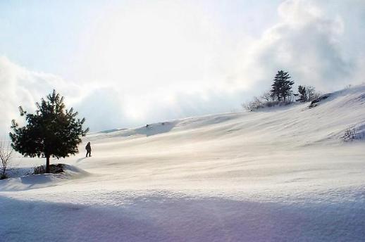 [여행사s pick]주말 여행지 순백의 미 느끼러 가실래요?..강원도 안반데기