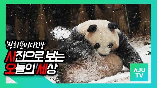 [광화문비디오방] 사진으로 보는 오늘의 세상