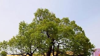 7ZmN7ISx6rWwLCDshJzsmrjtj4ntmZTrrLjtmZTrjIDsg4Eg64yA7IOBICYgIOyKpO2OmOyFnOyYrOumvO2Uvey9lOumrOyVhCDtirnrs4Tsg4Eg7IiY7IOBIOKAmDLqtIDsmZXigJk=