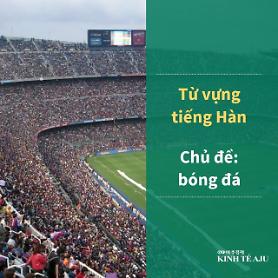 Từ vựng tiếng Hàn chủ đề Bóng đá
