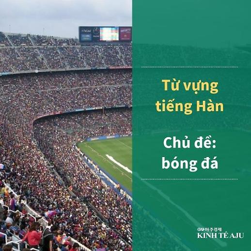Từ vựng tiếng Hàn chủ đề Bóng đá