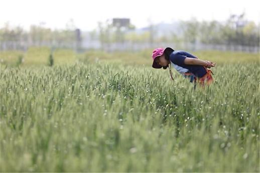 [미래의 농어촌]알레르기‧아토피 걱정 없는 음식