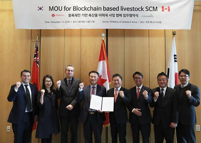 Lottes informatization wing partners with Toronto-based AI blockchain company