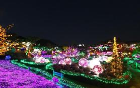 Du lịch giữa hai nước Hàn - Việt đạt tăng trưởng cao kỷ lục