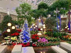 Trung tâm hỗ trợ du lịch y tế đã mở cửa ở sân bay quốc tế Incheon