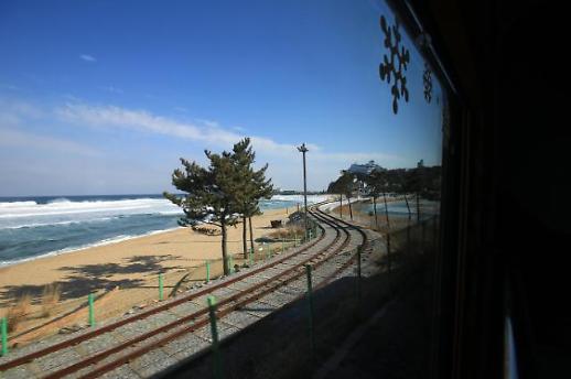 [2019 국내여행 트렌드 B.R.I.D.G.E⑥]식을 줄 모르는 강원도의 인기