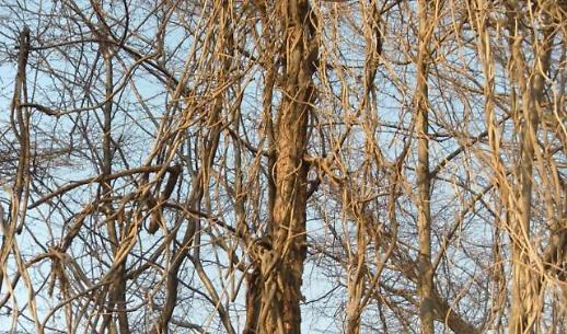 갈등은 원래 민주화 투사였다? 상생의 지혜를 읽는 100년의 기로