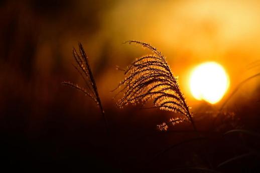 [광화문갤리러] 서울 근교 일출·일몰 관광지, 이제라도 출발하자